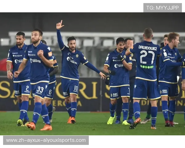 意甲球队主场分布及主场优势详细介绍 意甲球队主场分布及主场优势详细介绍